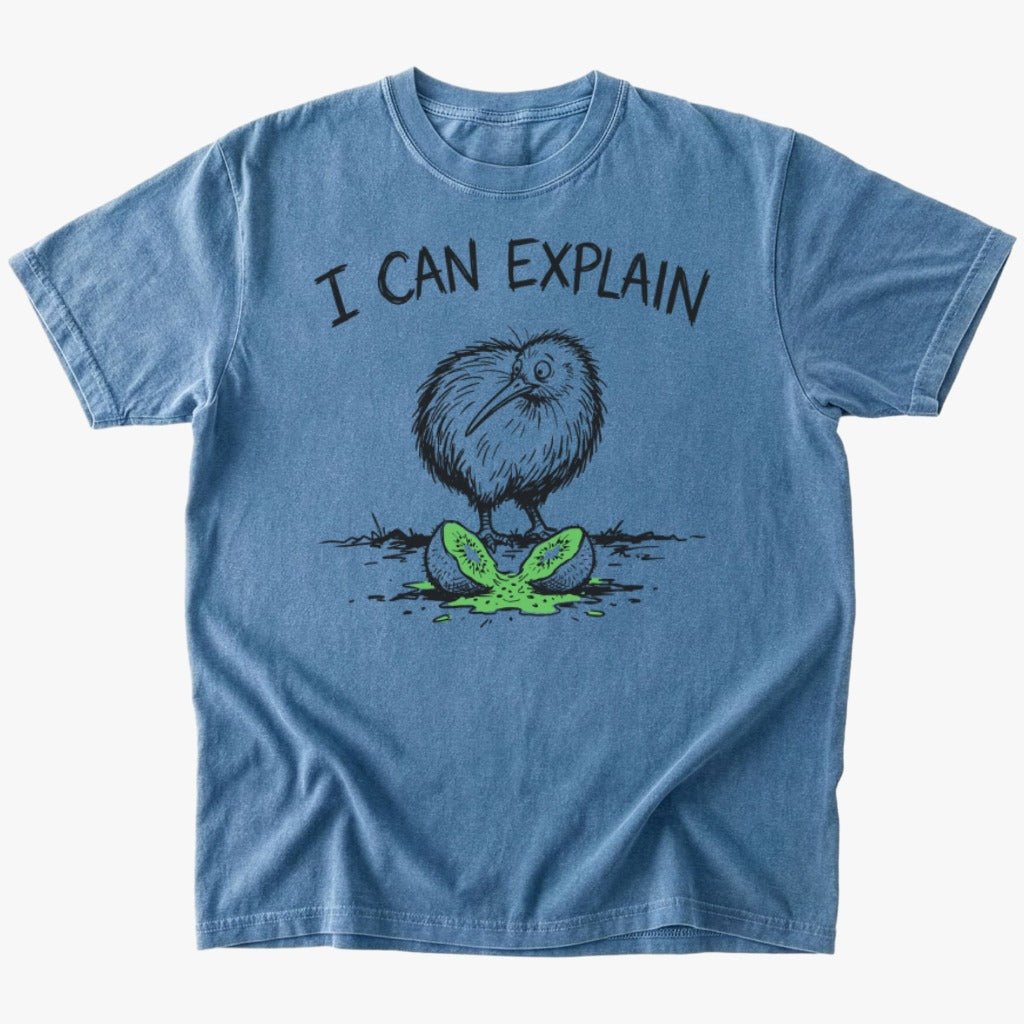 I can explain T-shirt - Low Summit