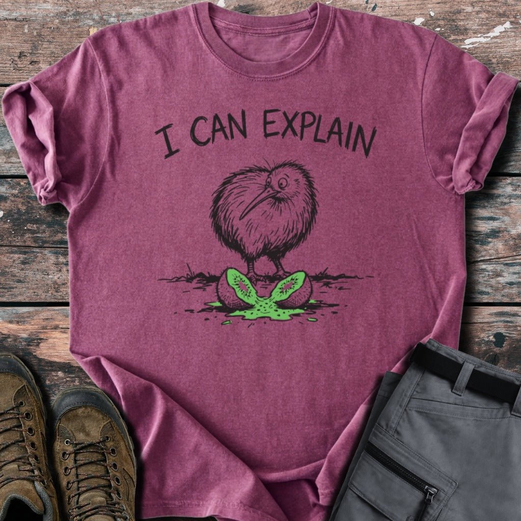 I can explain T-shirt - Low Summit