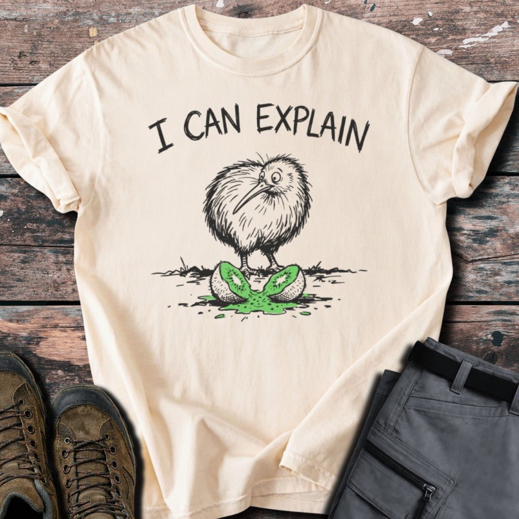 I can explain T-shirt - Low Summit