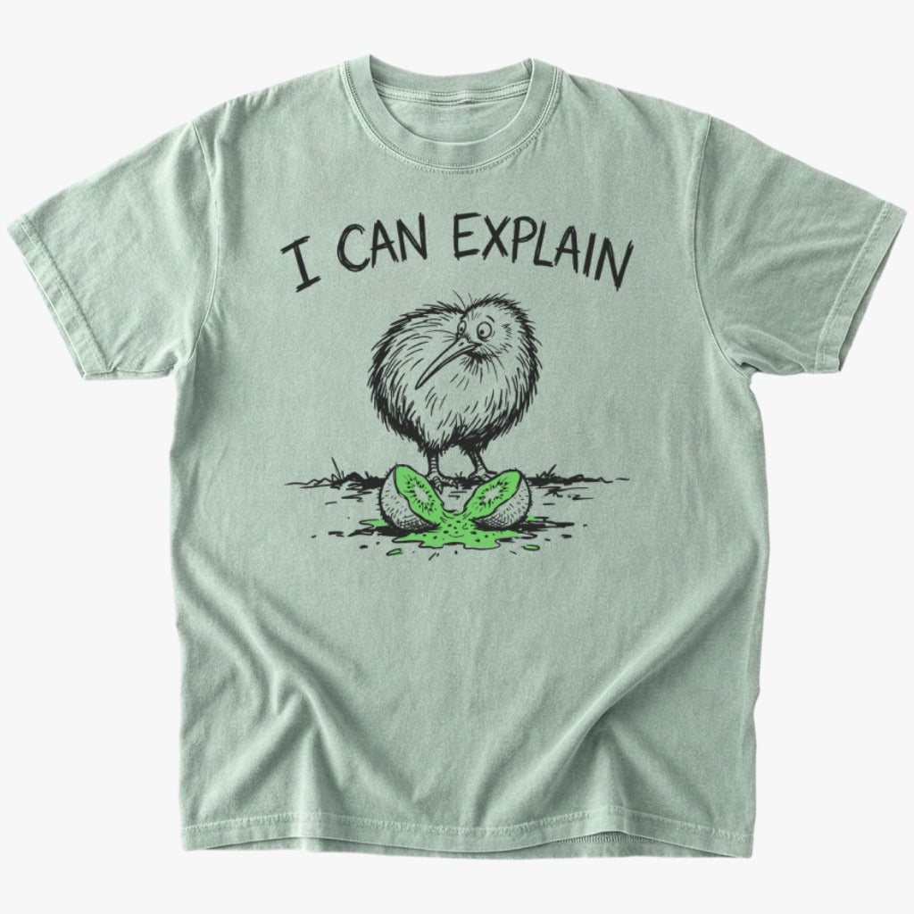 I can explain T-shirt - Low Summit