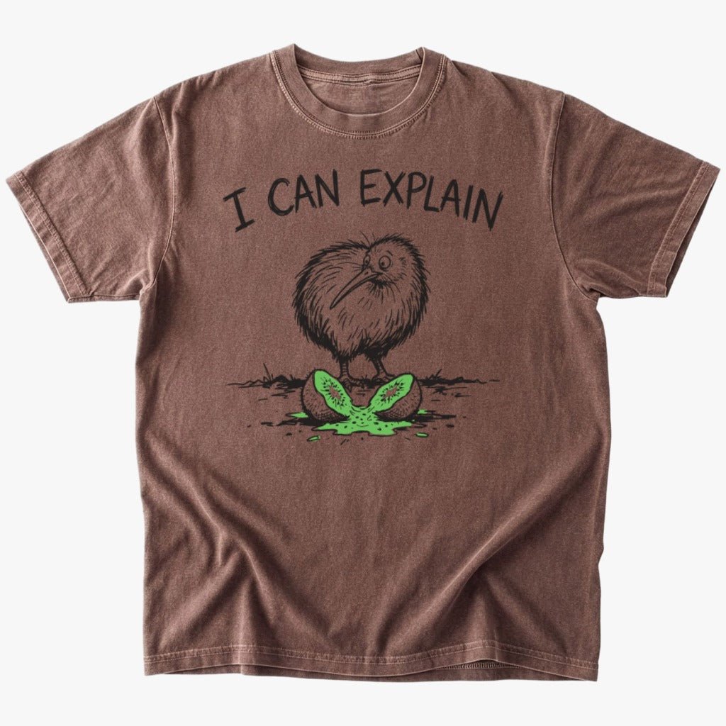 I can explain T-shirt - Low Summit