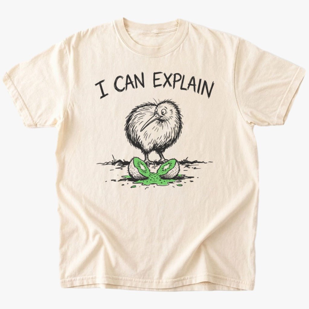 I can explain T-shirt - Low Summit