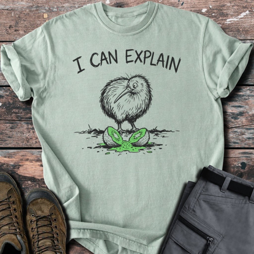 I can explain T-shirt - Low Summit