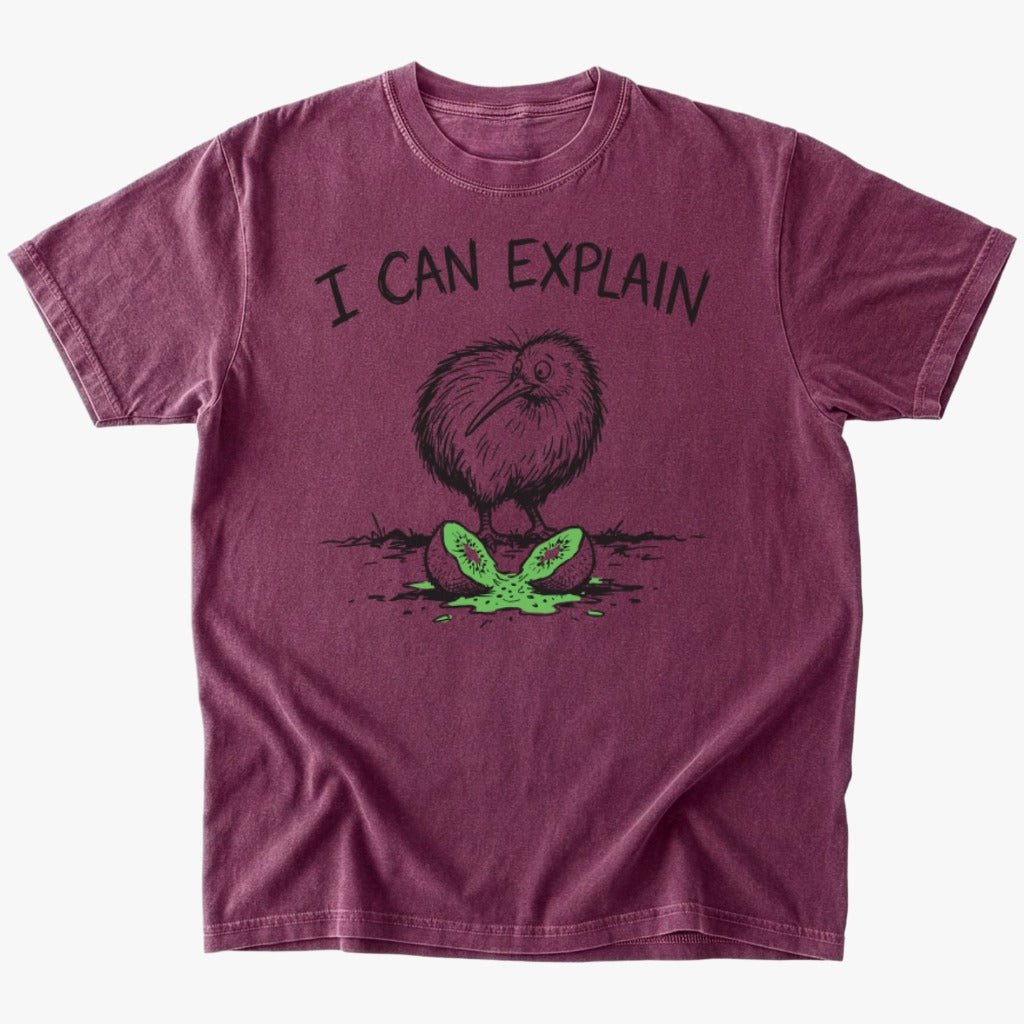 I can explain T-shirt - Low Summit