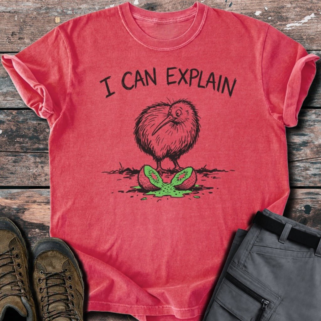I can explain T-shirt - Low Summit